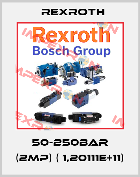 50-250bar (2MP) ( 1,20111E+11) Rexroth