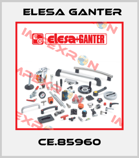 CE.85960 Elesa Ganter