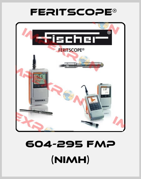 604-295 FMP (NiMH) Feritscope®