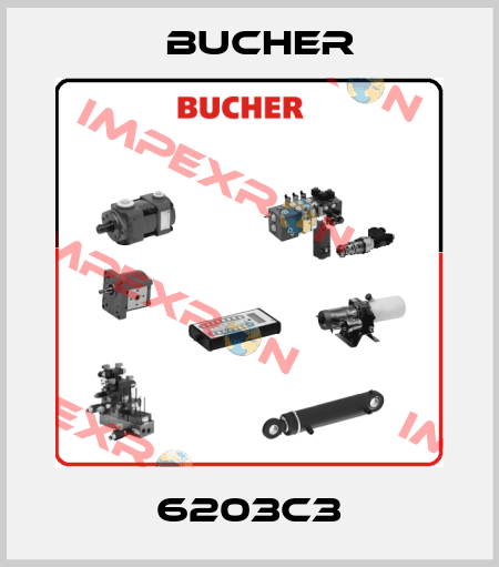 6203C3 Bucher