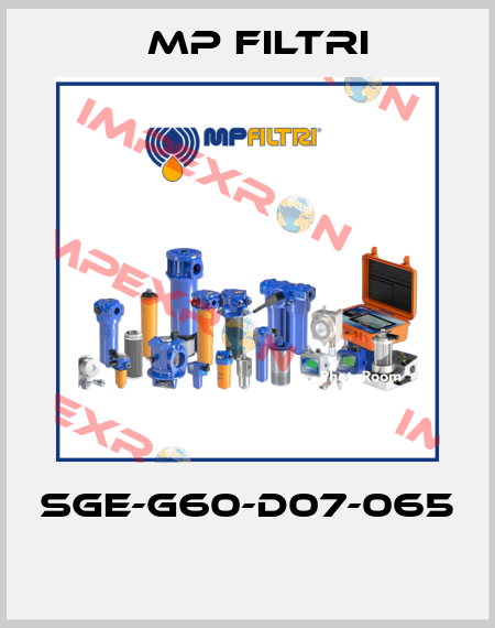 SGE-G60-D07-065  MP Filtri