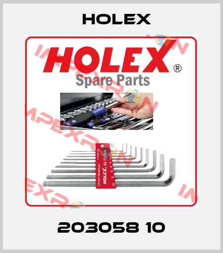 203058 10 Holex