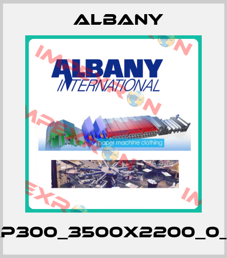 RP300_3500x2200_0_L Albany