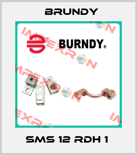 SMS 12 RDH 1  Brundy