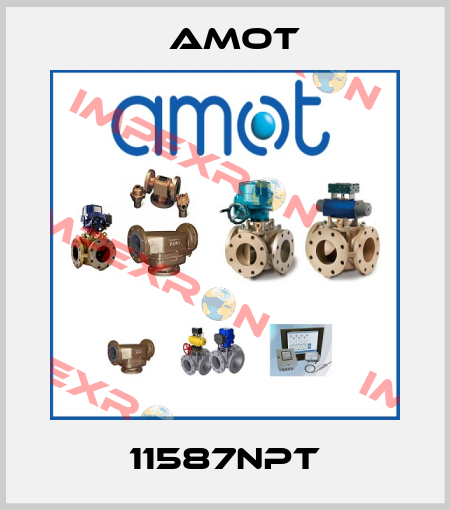11587NPT Amot