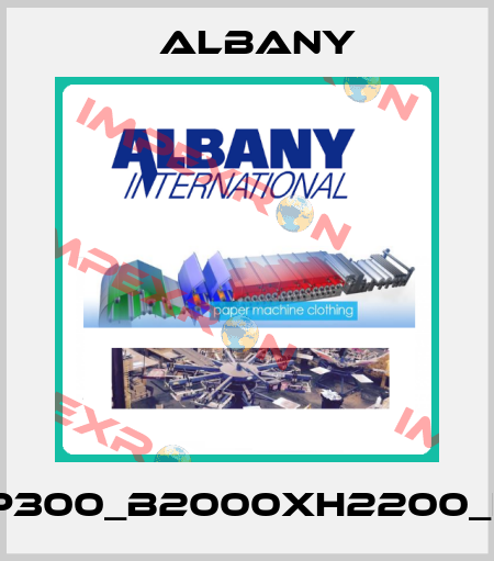 RP300_B2000xH2200_LH Albany
