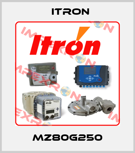 MZ80G250 Itron
