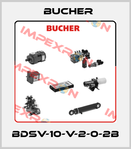 BDSV-10-V-2-0-2B Bucher