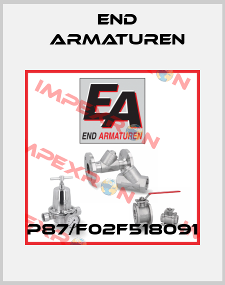 P87/F02F518091 End Armaturen