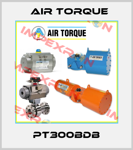 PT300BDB Air Torque