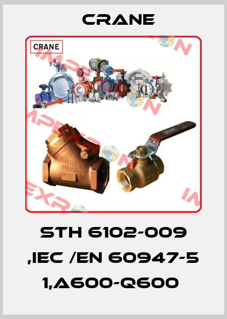 STH 6102-009 ,IEC /EN 60947-5 1,A600-Q600  Crane