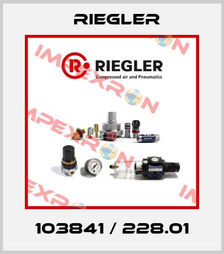 103841 / 228.01 Riegler