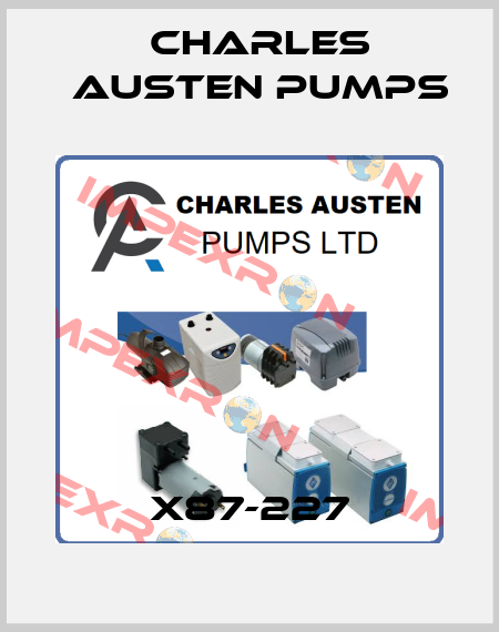 X87-227 Charles Austen Pumps