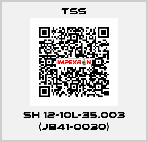 SH 12-10L-35.003 (J841-0030) TSS
