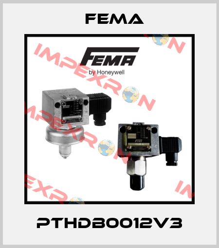 PTHDB0012V3 FEMA