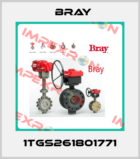 1TGS261801771 Bray