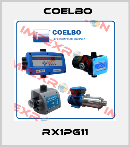 RX1PG11 COELBO