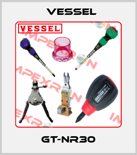 GT-NR30 VESSEL