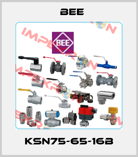 KSN75-65-16B BEE