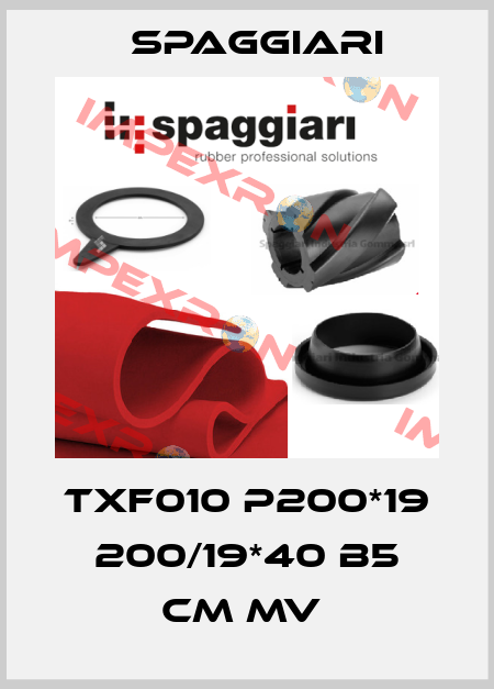 TXF010 P200*19 200/19*40 B5 CM MV  Spaggiari