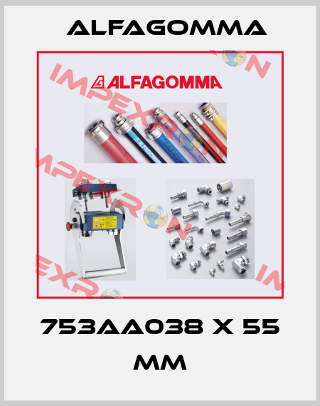 753AA038 X 55 mm Alfagomma