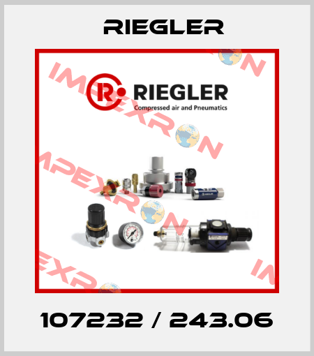 107232 / 243.06 Riegler