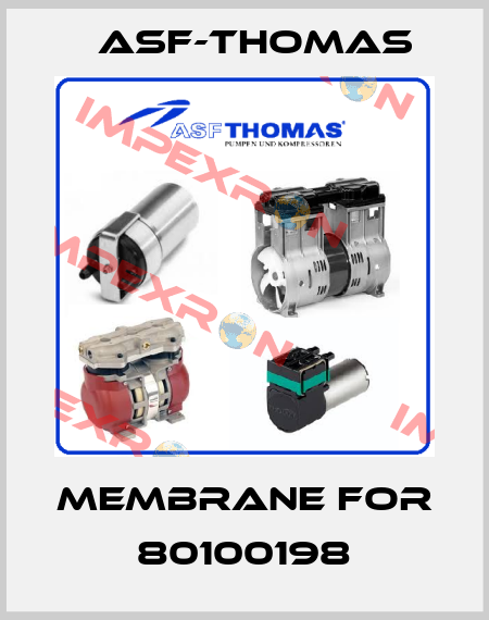 membrane for 80100198 ASF-Thomas