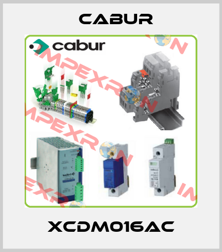 XCDM016AC Cabur