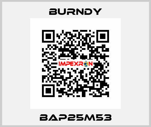 BAP25M53 Burndy