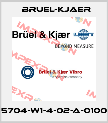 5704-W1-4-02-A-0100 Bruel-Kjaer