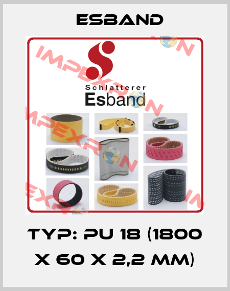 Typ: PU 18 (1800 X 60 X 2,2 mm) Esband