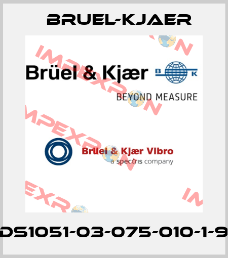DS1051-03-075-010-1-9 Bruel-Kjaer