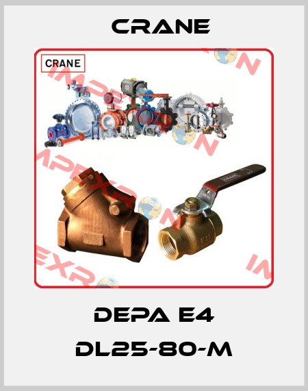 DEPA E4 DL25-80-M Crane