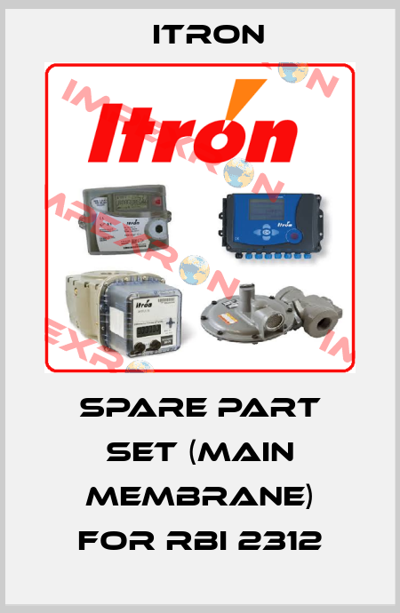 spare part set (main membrane) for RBI 2312 Itron