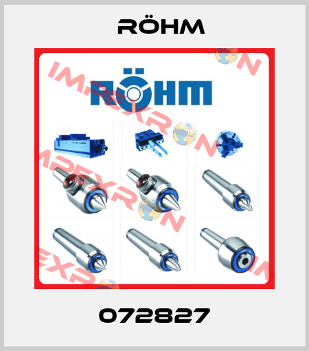 072827 Röhm