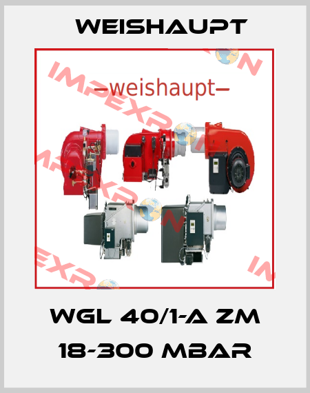WGL 40/1-A ZM 18-300 mbar Weishaupt