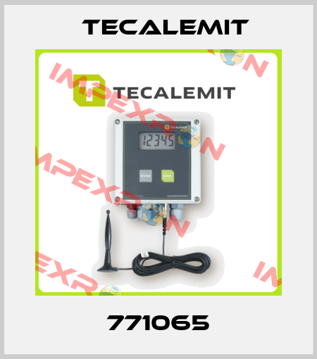 771065 Tecalemit