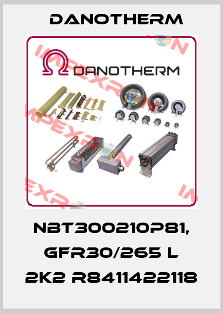NBT300210P81, GFR30/265 L 2K2 R8411422118 Danotherm