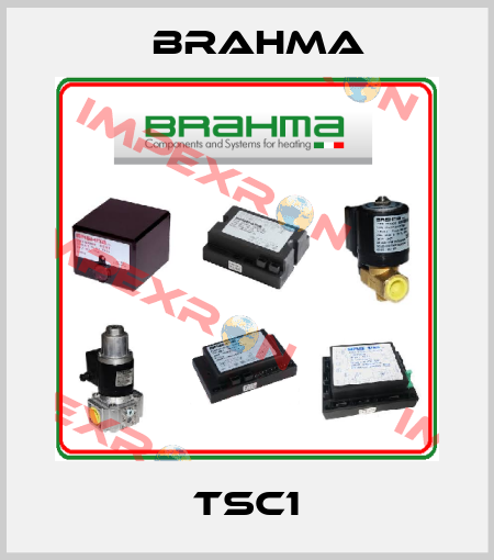 TSC1 Brahma