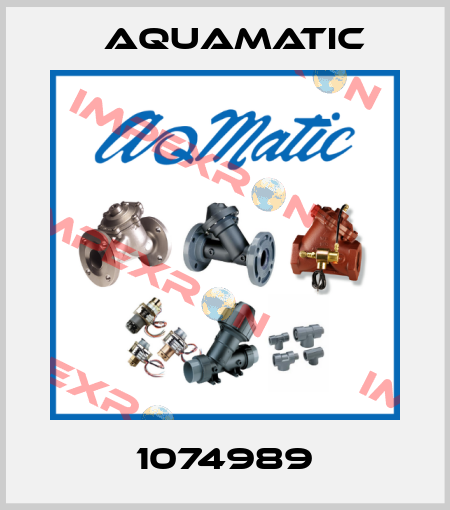 1074989 AquaMatic