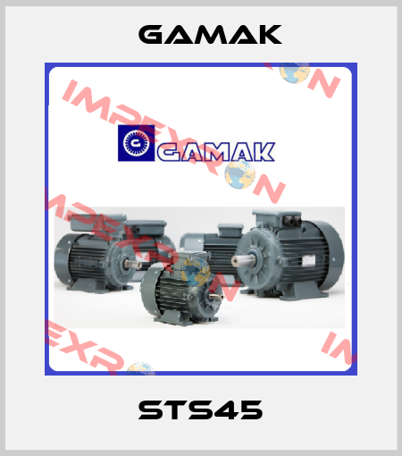 STS45 Gamak