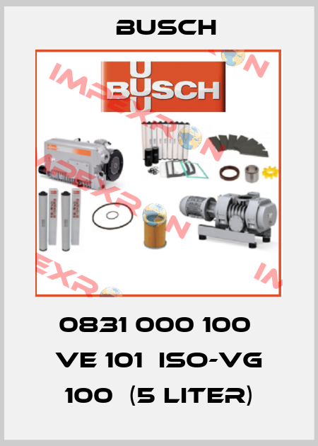 0831 000 100  VE 101  ISO-VG 100  (5 Liter) Busch