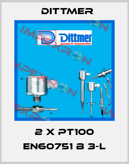 2 x PT100 EN60751 B 3-L Dittmer