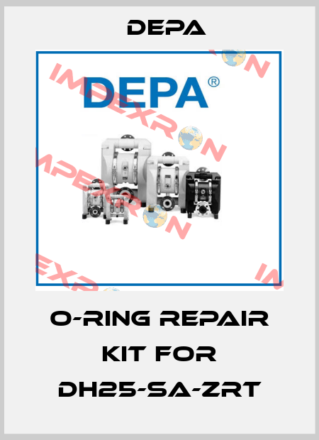 O-Ring Repair kit for DH25-SA-ZRT Depa