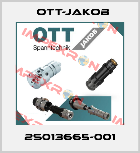 2S013665-001 OTT-JAKOB