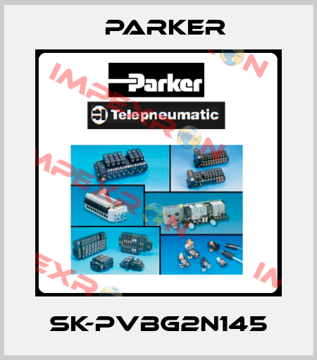 SK-PVBG2N145 Parker