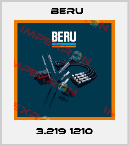 3.219 1210 Beru