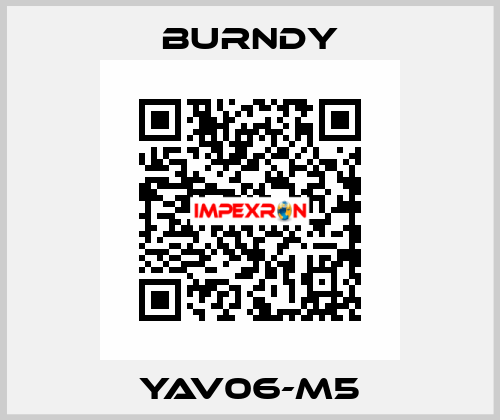 YAV06-M5 Burndy