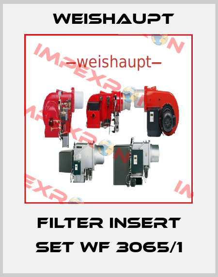 Filter insert set WF 3065/1 Weishaupt