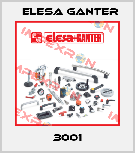 3001 Elesa Ganter